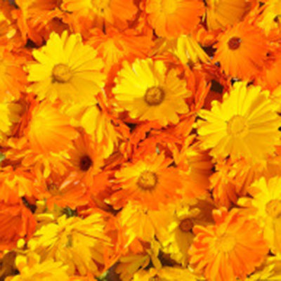 Manage eczema and psoriasis naturally