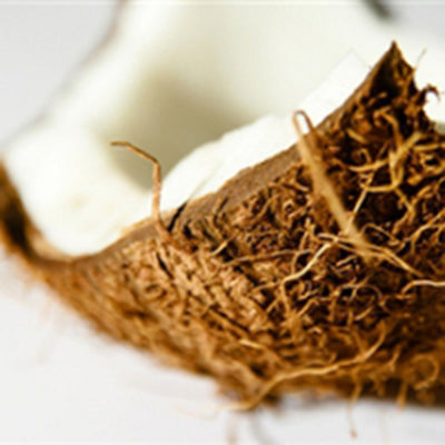 The Truth about Coconuts
